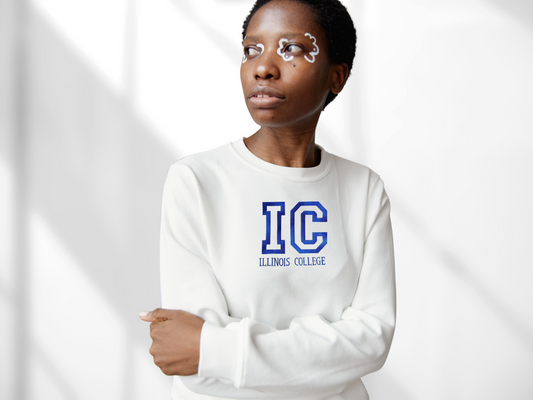 Custom College Embroidered Sweatshirt, Crewneck University Sweatshirt